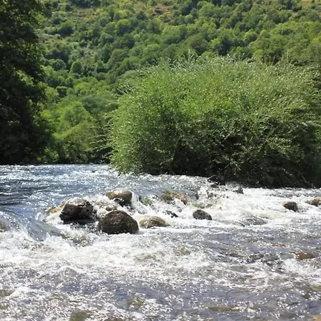 La Hulotte Des Huches * Saint-Etienne-Lardeyrol